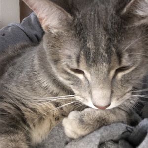 Meet your Posher, Mary